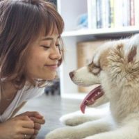 7 Tips To Help Your Dog Live A Longer And Healthier Life