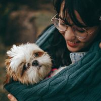 How Do Dogs Choose Their Favorite Person?