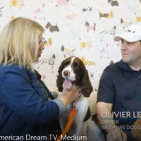 Wet Paws Dog Grooming featured on American Dream TV!