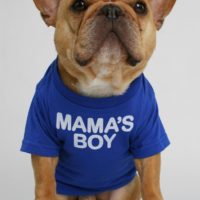 Is Your Dog A Mama’s Boy?